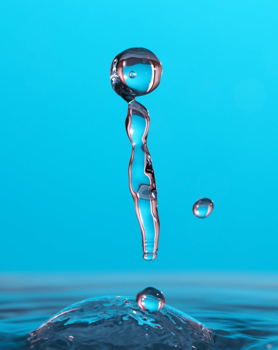 water drop close up photography
