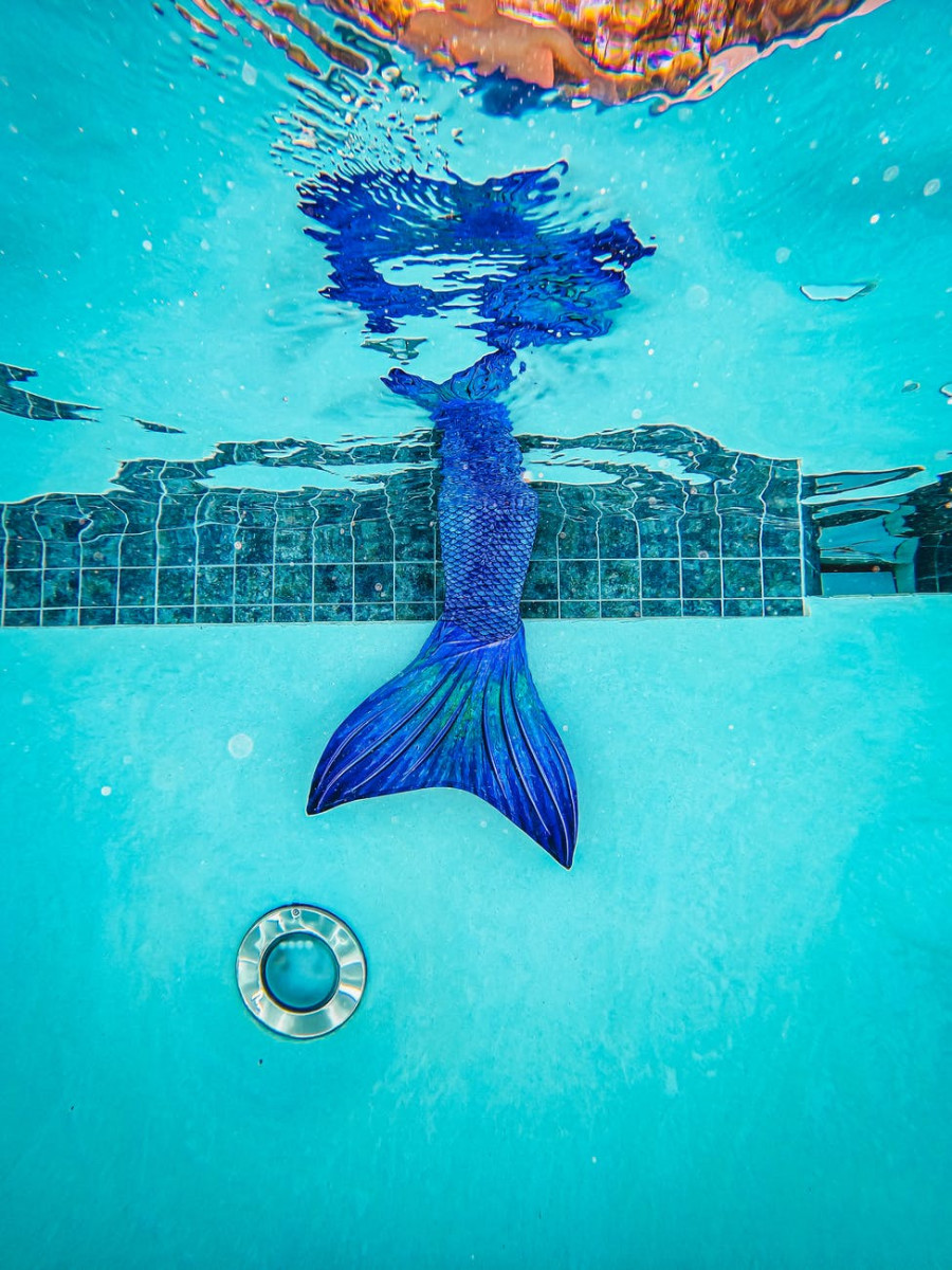 a mermaid s tail underwater